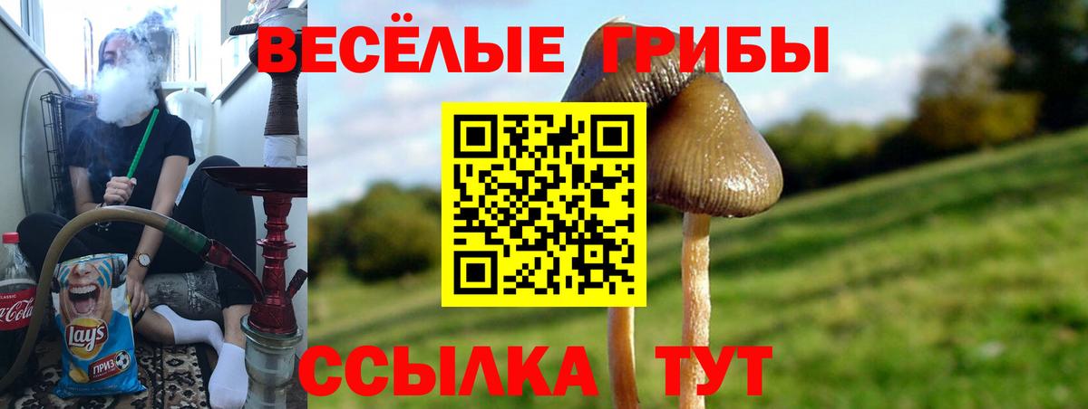 Галлюциногенные грибы Cubensis  Галлюциногенные грибы MAGIC MUSHROOMS  Калуга  Вход с VPN 